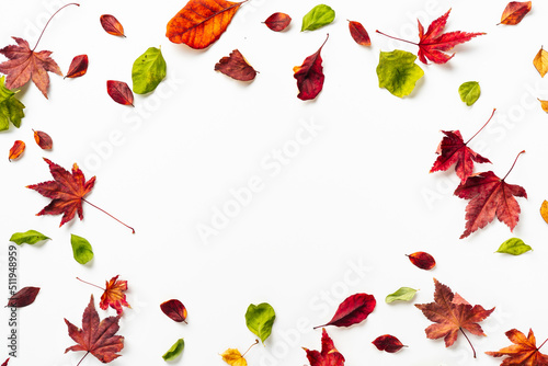 Autumn multicolored leaves on white background with copy space. Nature background
