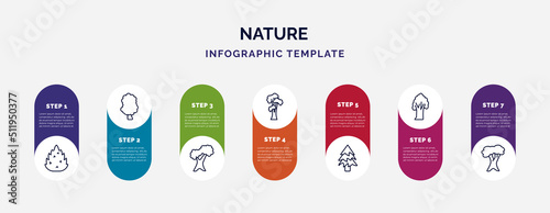 infographic template with icons and 7 options or steps. infographic for nature concept. included eastern redcedar tree, sassafras tree, northern red oak tree, shagbark hickory balsam fir american