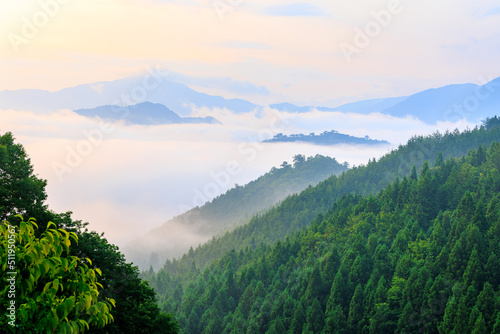 Morning sun hits dense fog in forested mountains around Takeda Castle Ruins