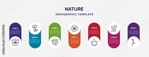 infographic template with icons and 7 options or steps. infographic for nature concept. included pansy, larch, magnolia, wallflower, hemp, anemone, cliff icons.