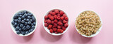 Banner made Variety of fresh currant berries white, blueberries, raspberries in white bowls on pastel pink background. Flat lay, top view, copy space
