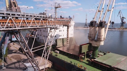 Sea port worker looking at wheat loading to bulker ship cargo container at sea grain elevator. Grain shipment from silos to bulk vessel via moving trunk. Transportation of agricultural commodities.