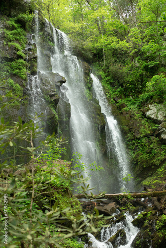 waterfall in the forest 2