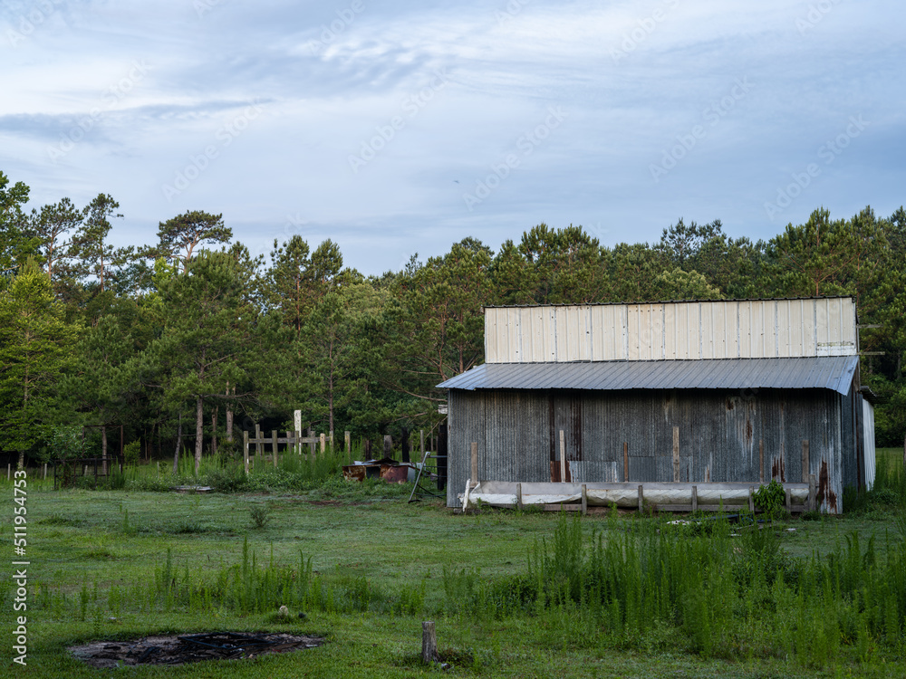 Old abandoned barn in the dense forest of southeastern Texas.