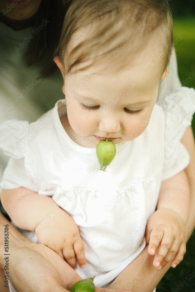 baby in the garden holding fruit in mouse baby in the garden holding fruit in mouse