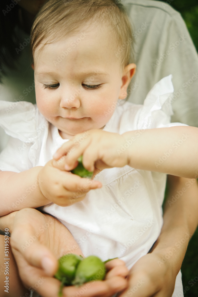 little baby are holding fresh apples in their hands in the garden little baby are holding fresh apples in their hands in the garden