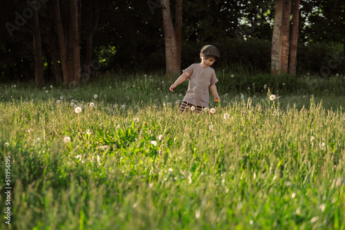 Cute toddler boy walking on grass meadow in countryside.