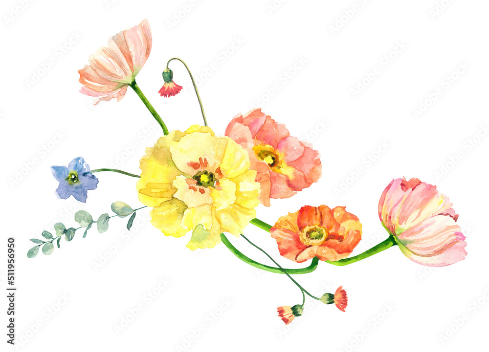 Obraz premium Hand painted watercolor floral bouquet. Iceland Poppies, eucalyptus and blue flowers illustration isolated on white background.