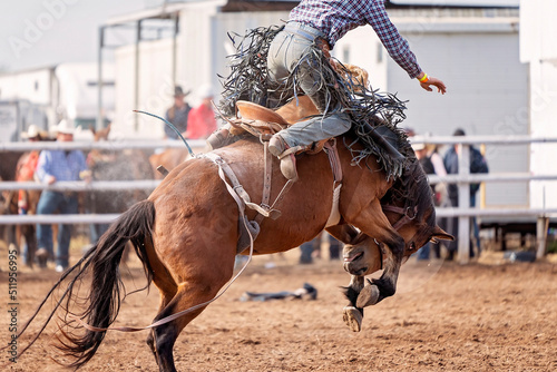 Φωτογραφία Saddle Bronco Riding At Country Rodeo