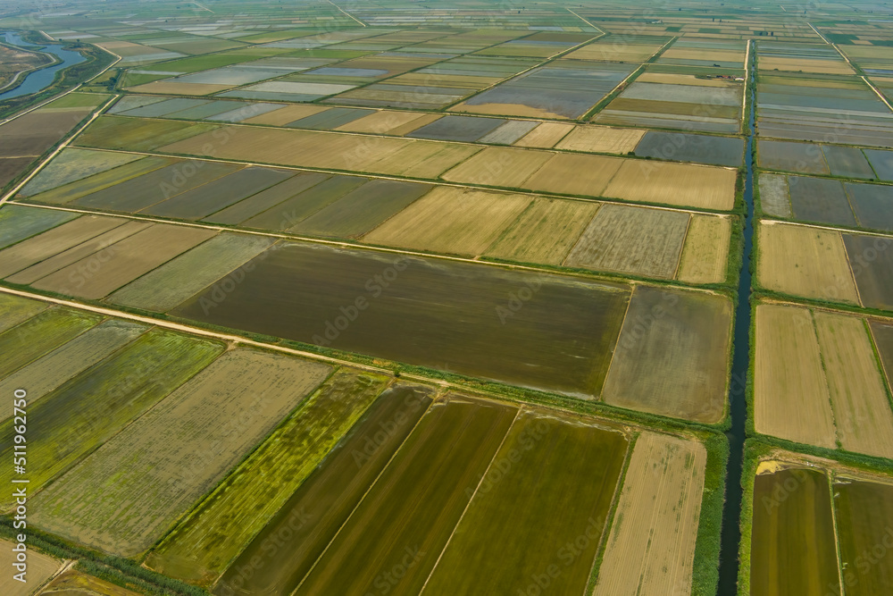 Aerial view of rice field terraces in Xalastra, Greece