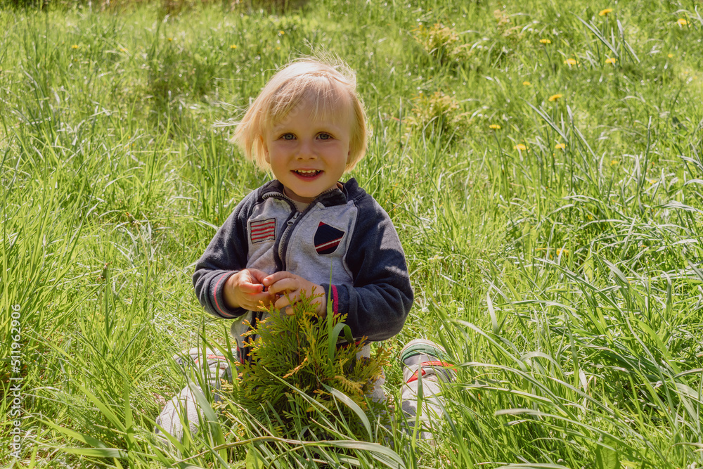 Cute adorable little caucasian kid toddler boy having fun sitting on green grass lawn at home yard garden.Child on lawn in backyard. Happy childhood, children's healthcare, serenity concept Cute adorable little caucasian kid toddler boy having fun sitting on green grass lawn at home yard garden.Child on lawn in backyard. Happy childhood, children's healthcare, serenity concept