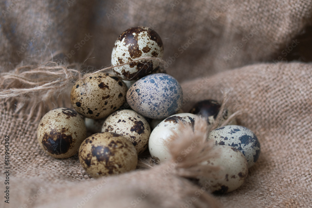 Obraz premium huevos de codorniz