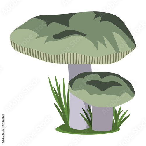 Wild forest russula mushrooms. Vector illustration
