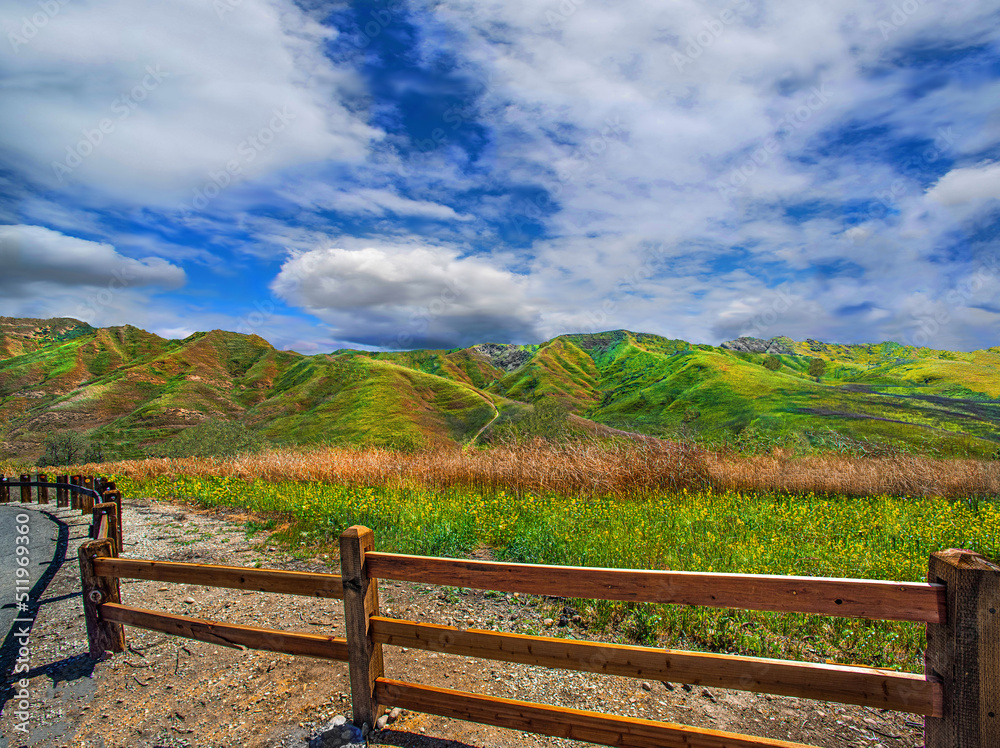 Chino Hills, Ca. state park spring landscape wildflowers covering hills and valleys.