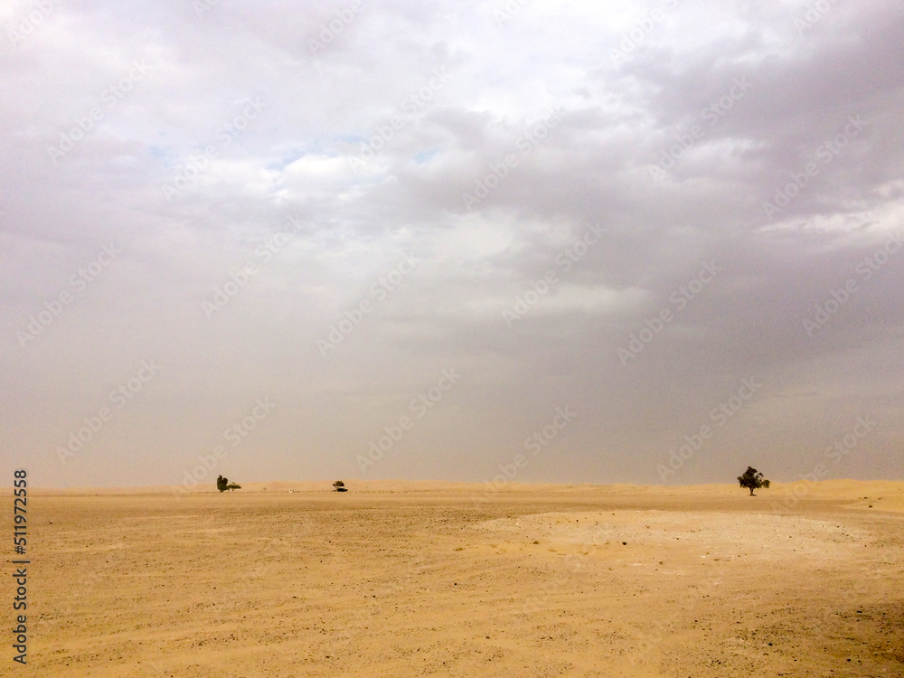 Obraz premium sunset in the desert