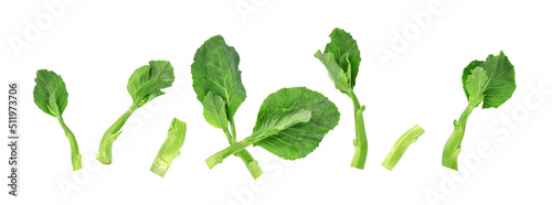 Chinese kale or Kailan or Hong Kong kale isolated on white background. Top view