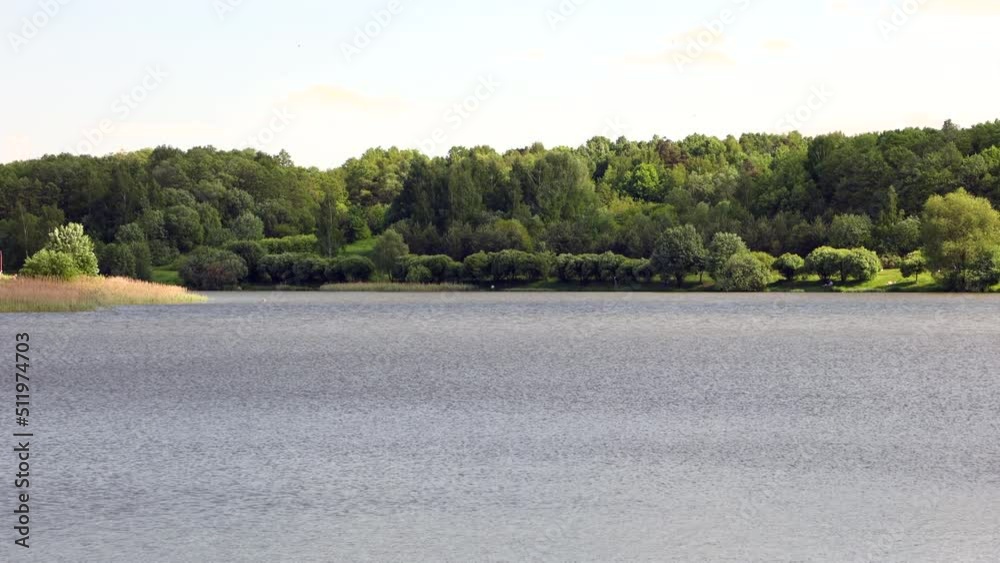Nature Landscape Of Pond And Forest. 4k. ProRes. Nature Landscape Of Pond And Forest. 4k. ProRes.