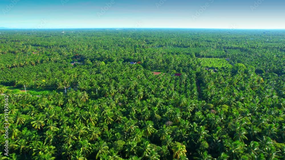 Aerial view over coconut groves at Amphawa, Samut Songkhram Province, Thailand. agricultural industry. 4K drone.
Aerial view over coconut groves at Amphawa, Samut Songkhram Province, Thailand. agricultural industry. 4K drone.