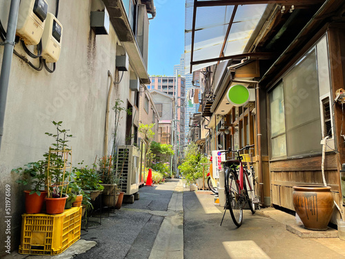 Nostalgic back alley of Japanese old guest houses