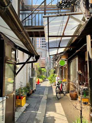 Nostalgic back alley of Japanese old guest houses © Actogram