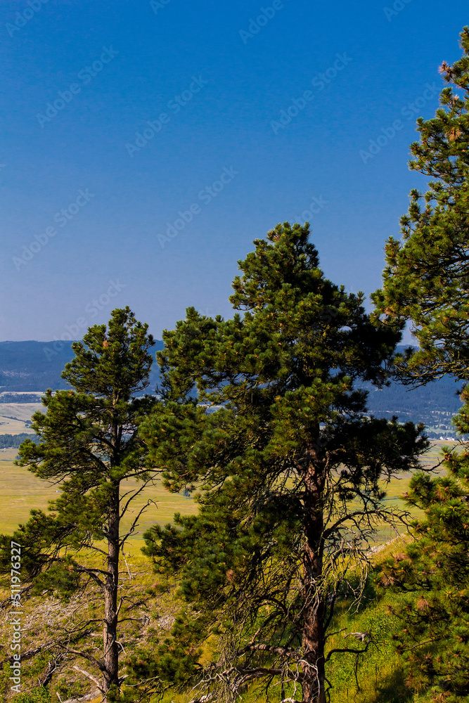 Fototapeta premium Bear Butte State Park in Summer, South Dakota
