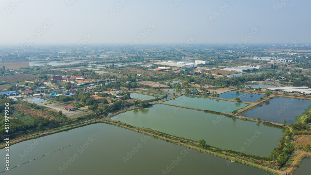 Aerial view from flying drone of Fish pond, fish farm
