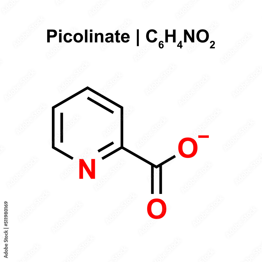 Picolinate (C6H4NO2) Chemical Structure. Vector Illustration.