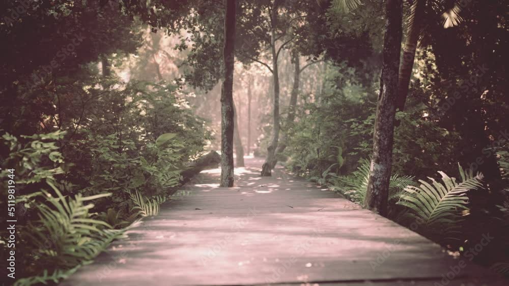 wooden walking way leading through beautiful autumn forest wooden walking way leading through beautiful autumn forest
