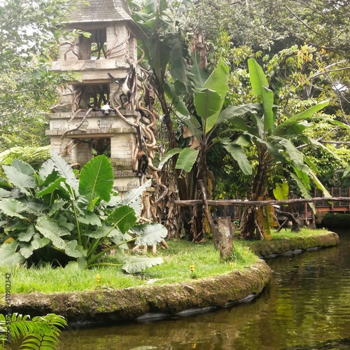 tropical garden