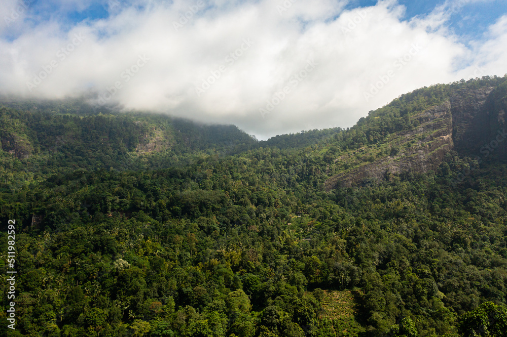 Fototapeta premium Jungle and mountains in Sri Lanka. Mountain slopes with tropical vegetation.