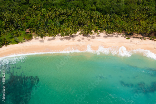 Beautiful sandy beach with palm trees and sea surf with waves. Silent Beach, Sri Lanka.