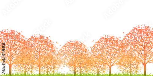 紅葉　秋　風景　背景