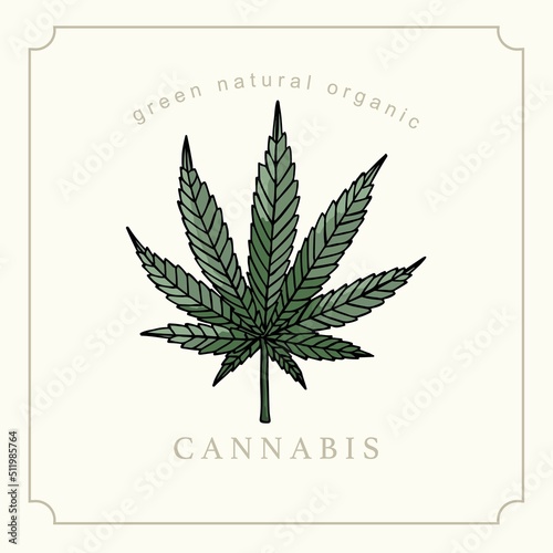 Collection of cannabis background set with green.Editable vector illustration for website, invitation,postcard and sticker