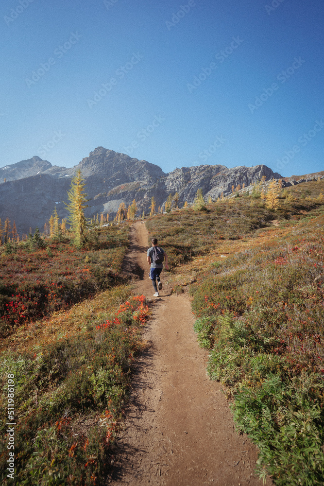 Boy Hiking during Autumn. Washington State
