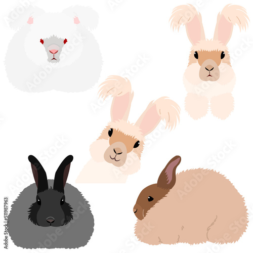 angora rabbit bundle