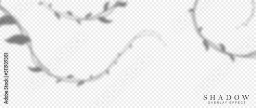Shadows overlay effect. Stylish shadows from tropical and exotic plants, branches and foliage, liana. Graphic elements to decorate website and create posters. Realistic flat vector illustration