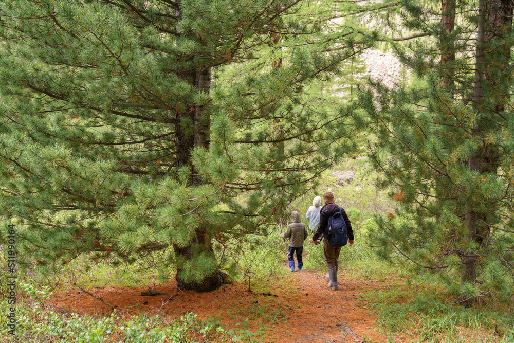 Family walking in the woods 