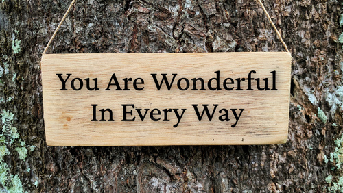 Inspirational quote text on wooden banner - You are wonderful in every way. With tree and nature background.