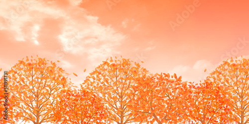 紅葉　秋　風景　背景