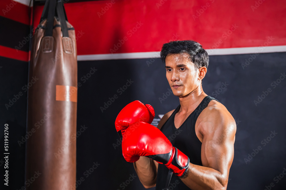Portrait of Sportsman muay thai boxer fighting in gym, muscular handsome boxing man fighter with boxing bag