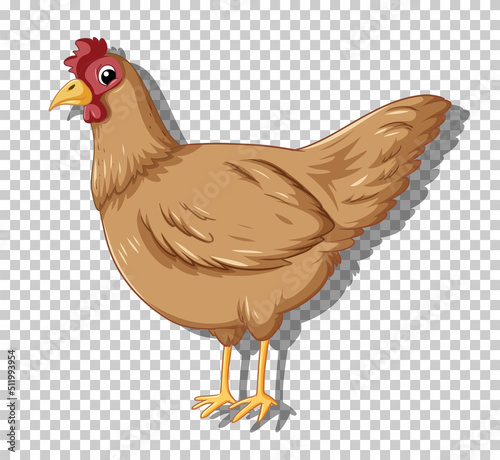 Cute chicken in flat cartoon style