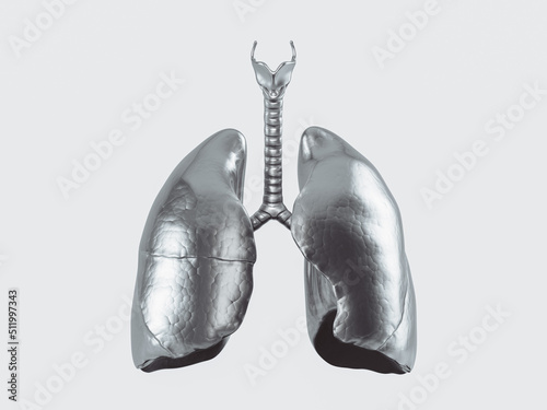 3d illustration of human lungs made of metal isolated on white background photo