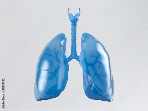 Fototapeta Naklejka Na Ścianę i Meble -  3d illustration of human lungs made of blue plastic isolated on white background