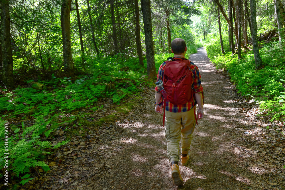 Obraz premium A young man with a red backpack hiking a wooded trail in Chugach National Forest, Alaska.