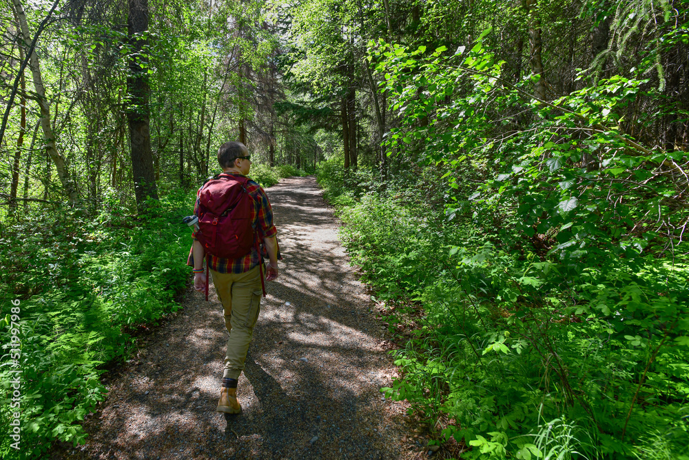 Fototapeta premium A young man with a red backpack hiking a wooded trail in Chugach National Forest, Alaska.