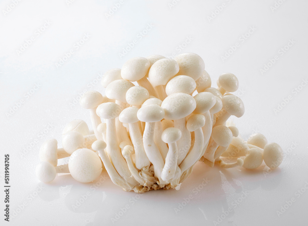Delicious fresh ingredients, white mushrooms Delicious fresh ingredients, white mushrooms