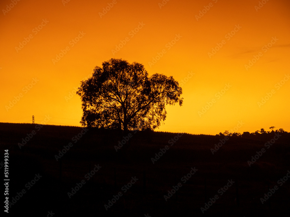 Fototapeta premium SUNSET