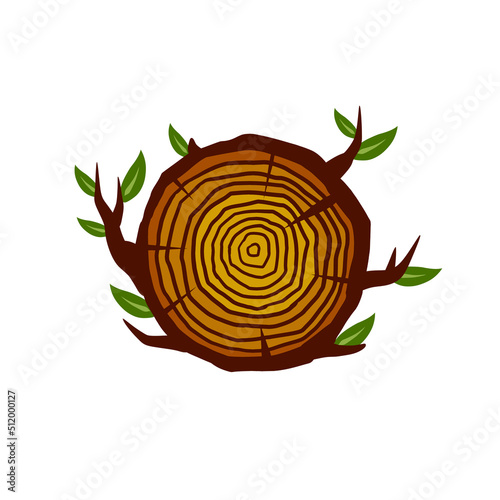 Cut tree trunk. Stump cross section. Concentric circular pattern on wood.