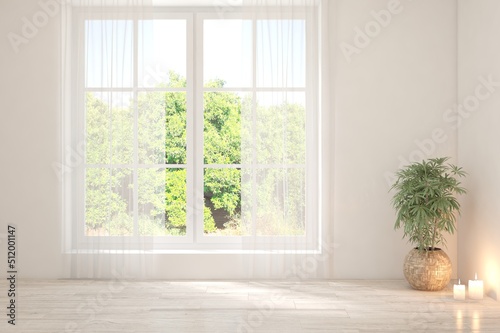 Fotografia White empty room with summer landscape in window