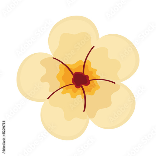 white flower petals